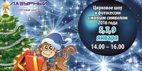 Цирковое шоу с живым символом 2016 года