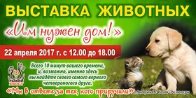 Выставка животных «Им нужен дом!»