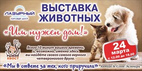 Выставка животных «ИМ НУЖЕН ДОМ!»