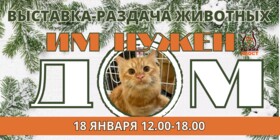 Выставка-раздача животных ИМ НУЖЕН ДОМ!